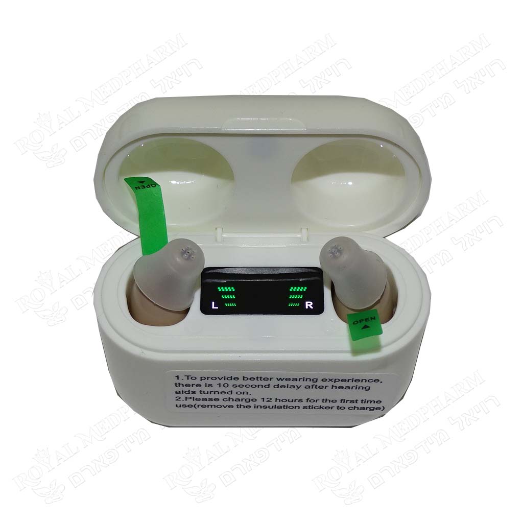 Hearing Aid, Rechargeable, Noise Reduction