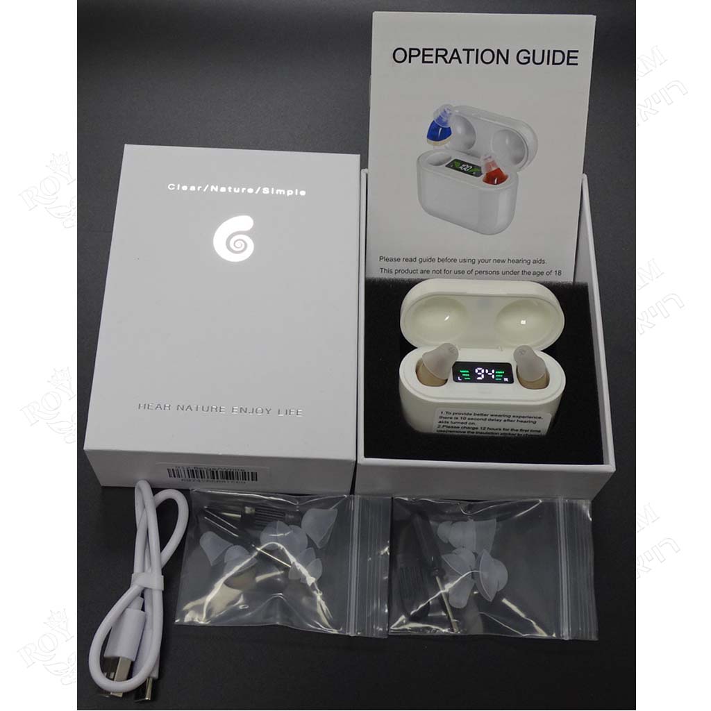 Hearing Aid, Rechargeable, Noise Reduction